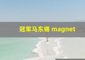 冠军马东锡 magnet